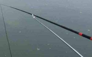 怎樣分辨釣魚用品的好壞