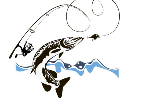 南北終端魚餌有哪些優(yōu)勢呢